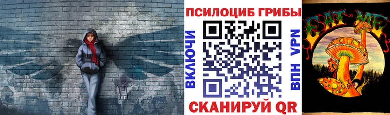 Галлюциногенные грибы прущие грибы  Барыш 